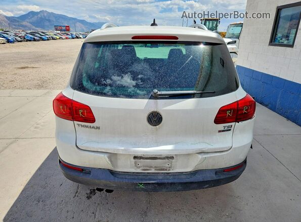 WVGSV7AX8HW500250 2017 VOLKSWAGEN TIGUAN White Widok z tyłu