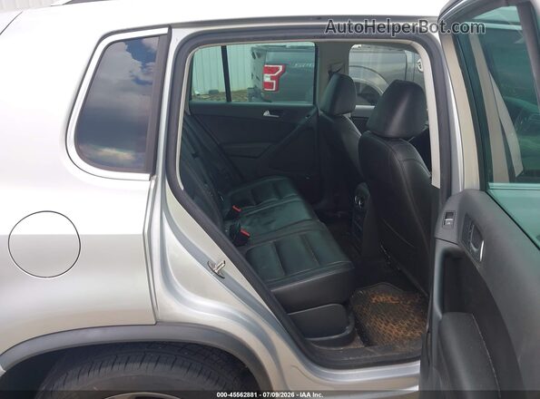 WVGTV7AX2HK008065 2017 VOLKSWAGEN TIGUAN Silver Vista de la etiqueta del VIN