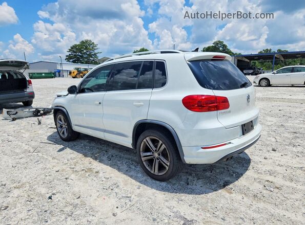 WVGTV7AX4HW507667 2017 VOLKSWAGEN TIGUAN White უკანა მარცხენა