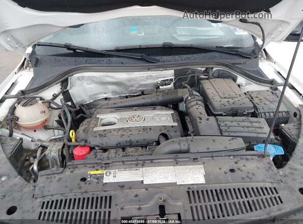 WVGUV7AX2HK007664 2017 VOLKSWAGEN TIGUAN White Widok z tyłu