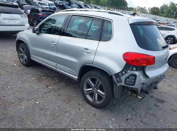 WVGUV7AX2HW509602 2017 VOLKSWAGEN TIGUAN Silver უკანა მარცხენა