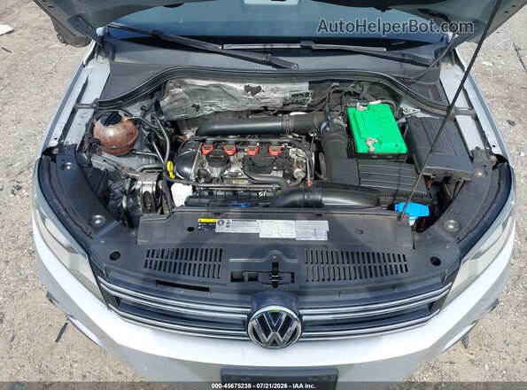 WVGUV7AX2HW509602 2017 VOLKSWAGEN TIGUAN Silver უკანა ხედი