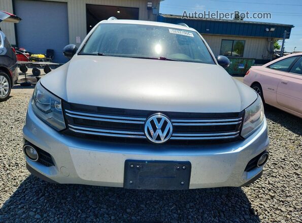 WVGUV7AX3HW509690 2017 VOLKSWAGEN TIGUAN Silver Vista frontal
