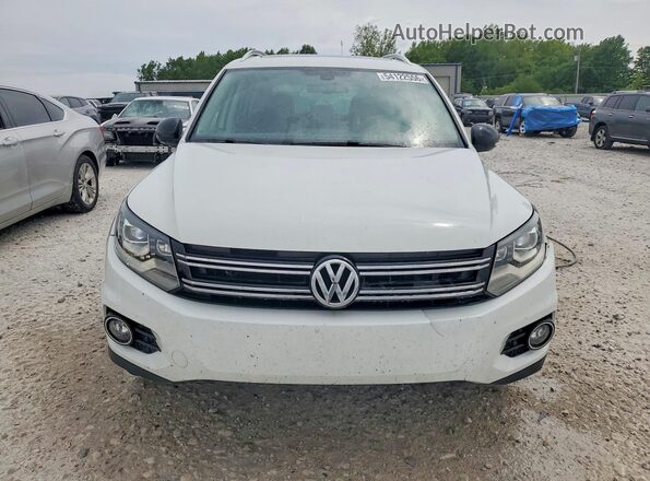 WVGUV7AX8HK036652 2017 VOLKSWAGEN TIGUAN White Widok z przodu