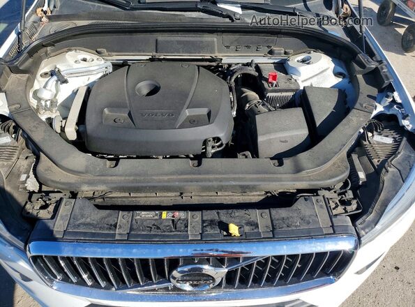 YV4102DL8L1429354 2020 VOLVO XC60 Белый Вид задней части салона