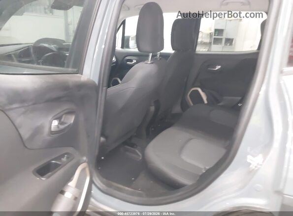 ZACCJBAB3HPG54101 2017 JEEP RENEGADE Синий Вид наклейки с VIN-кодом
