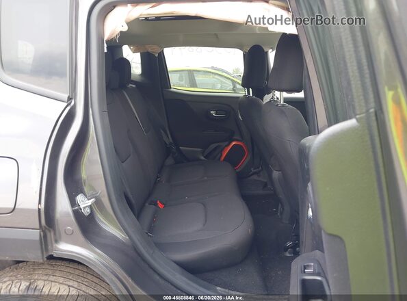 ZACCJBAB7JPJ11613 2018 JEEP RENEGADE Gray Вид наклейки з VIN-кодом