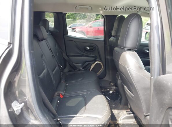 ZACCJBDT3GPC93102 2016 JEEP RENEGADE Gray Вид наклейки з VIN-кодом