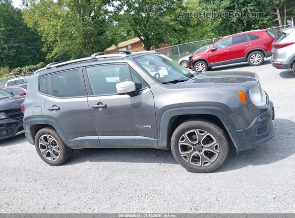 ZACCJBDT3GPC93102 2016 JEEP RENEGADE Gray Панорамний вид салону 360°