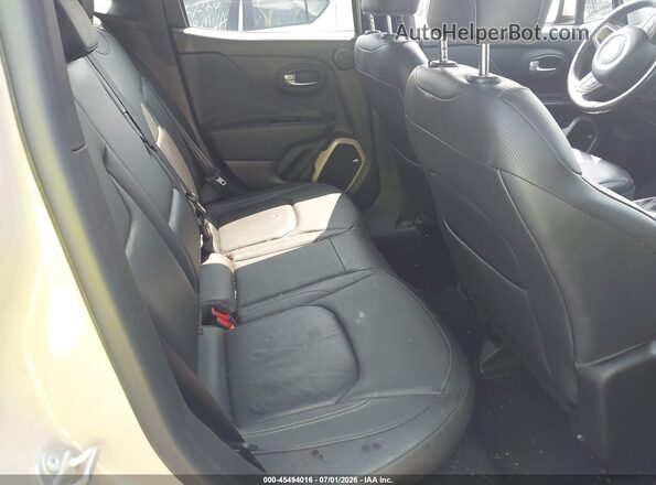 ZACCJBDT4GPC52221 2016 JEEP RENEGADE Brown Вид наклейки з VIN-кодом