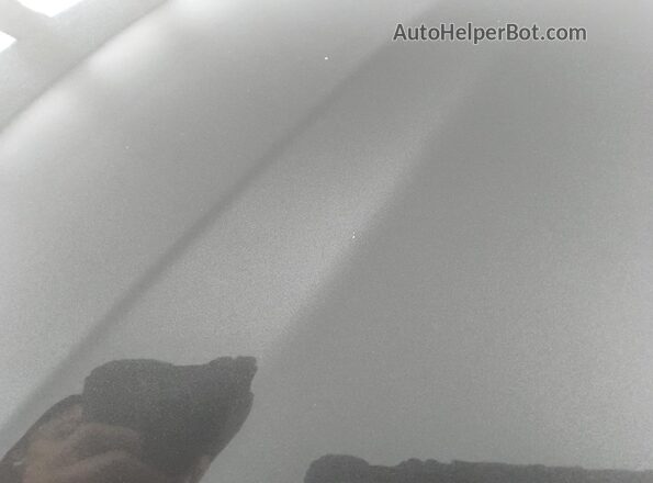 ZACNDFAN2R3A42062 2024 DODGE OTHER Gray 
