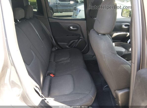 ZACNJAAB3LPL13564 2020 JEEP RENEGADE Gray VIN կոդի պիտակի տեսք