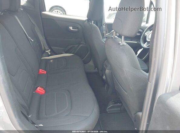 ZACNJABB2KPK47585 2019 JEEP RENEGADE Gray Widok naklejki z numerem VIN