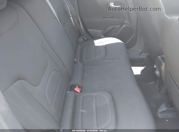 ZACNJABB3LPL10808 2020 JEEP RENEGADE Gray Вид наклейки з VIN-кодом
