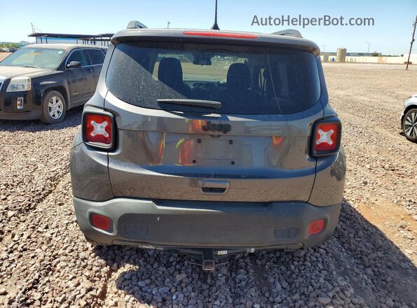 ZACNJABB3LPL83905 2020 JEEP RENEGADE Charcoal Widok z tyłu