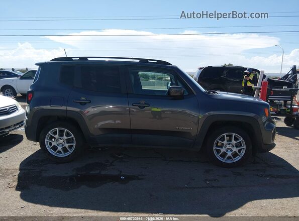 ZACNJABB6KPK08563 2019 JEEP RENEGADE Серый Вид задней части салона