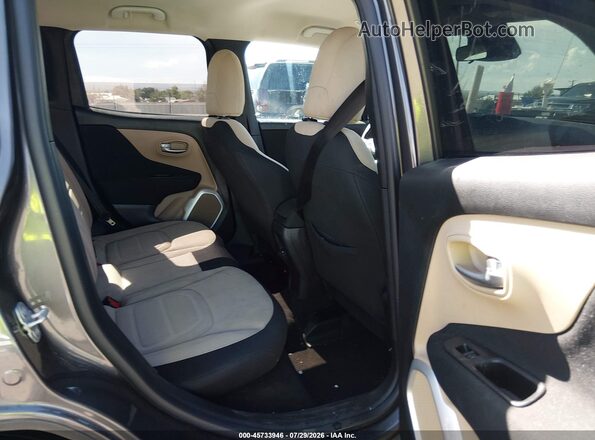 ZACNJABB6KPK08563 2019 JEEP RENEGADE Серый Вид наклейки с VIN-кодом
