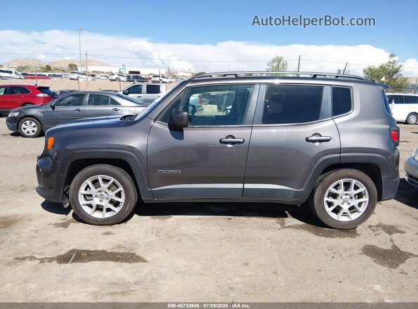 ZACNJABB6KPK08563 2019 JEEP RENEGADE Серый Панорамный вид салона 360°