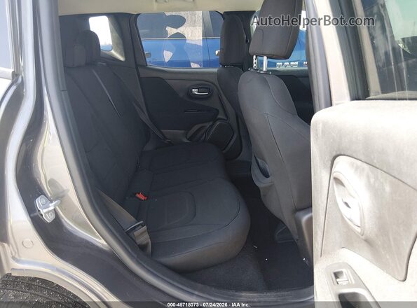 ZACNJABB6KPK68343 2019 JEEP RENEGADE Gray Widok naklejki z numerem VIN