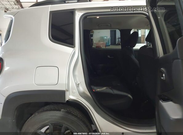 ZACNJABB6LPL43138 2020 JEEP RENEGADE Серый Вид наклейки с VIN-кодом