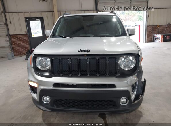 ZACNJABB6LPL43138 2020 JEEP RENEGADE Серый Вид задней части салона