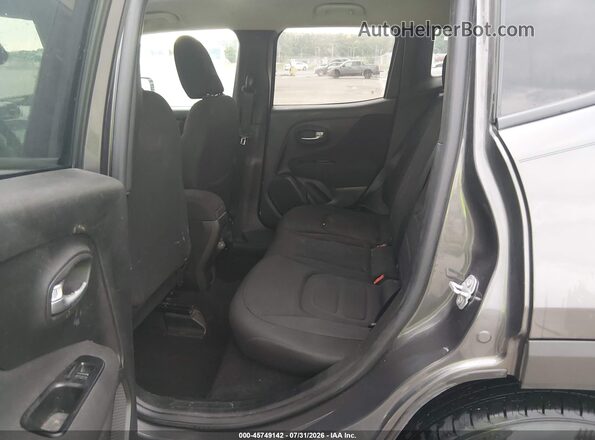 ZACNJABB7LPL60482 2020 JEEP RENEGADE Серый Вид наклейки с VIN-кодом