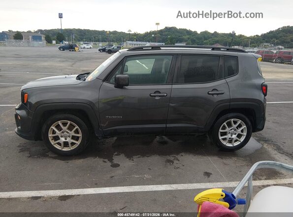 ZACNJABB7LPL60482 2020 JEEP RENEGADE Серый Панорамный вид салона 360°