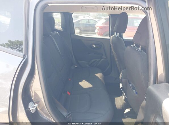 ZACNJABB9LPL20887 2020 JEEP RENEGADE Серый Вид наклейки с VIN-кодом