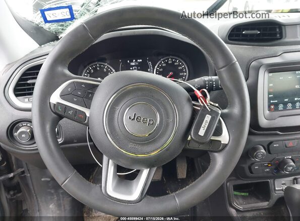 ZACNJABB9LPL81382 2020 JEEP RENEGADE Серый Вид панели приборов