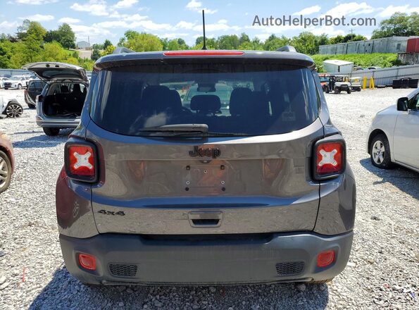 ZACNJBAB1KPK55247 2019 JEEP RENEGADE Charcoal Vista trasera