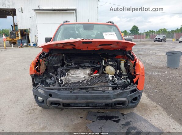 ZACNJBAB2LPL87189 2020 JEEP RENEGADE Оранжевый Вид спереди