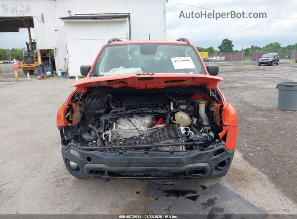 ZACNJBAB2LPL87189 2020 JEEP RENEGADE Оранжевый Вид задней части салона