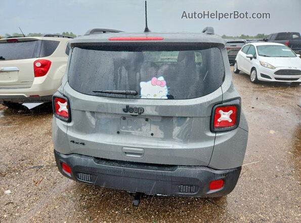 ZACNJBAB9KPK93809 2019 JEEP RENEGADE Gray Widok z tyłu