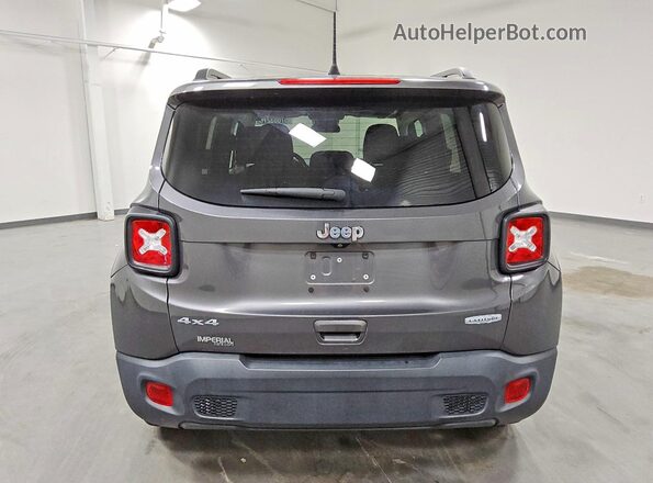 ZACNJBBB1LPL13583 2020 JEEP RENEGADE Gray უკანა ხედი