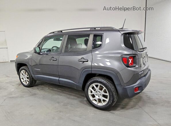ZACNJBBB1LPL13583 2020 JEEP RENEGADE Gray უკანა მარცხენა