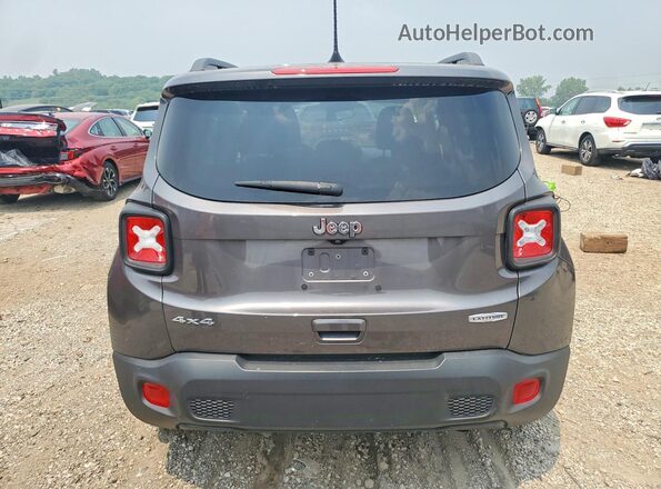 ZACNJBBB4LPK98058 2020 JEEP RENEGADE Серый Вид сзади