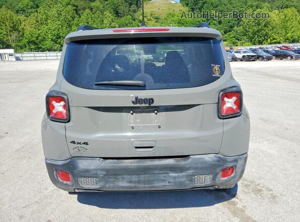 ZACNJBBB5LPL95866 2020 JEEP RENEGADE Серый Вид сзади
