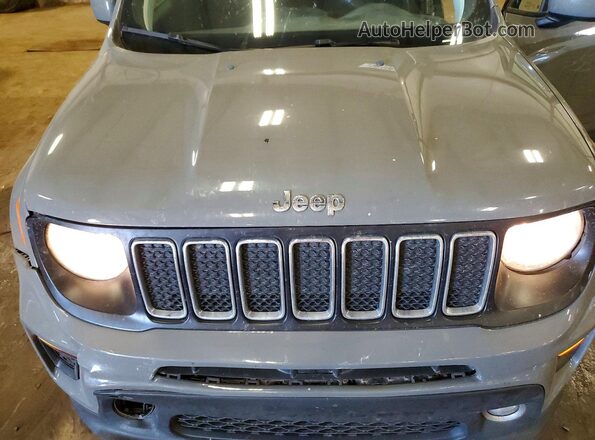 ZACNJBBB6LPL89848 2020 JEEP RENEGADE Gray Սալոնի հետևի տեսք