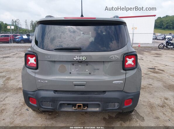 ZACNJBBB9KPK50554 2019 JEEP RENEGADE Gray 