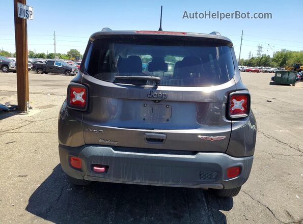 ZACNJBC17KPK64040 2019 JEEP RENEGADE Gray უკანა ხედი