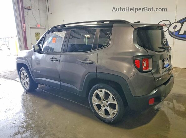 ZACNJBD11LPL97795 2020 JEEP RENEGADE Charcoal Задня ліва чверть