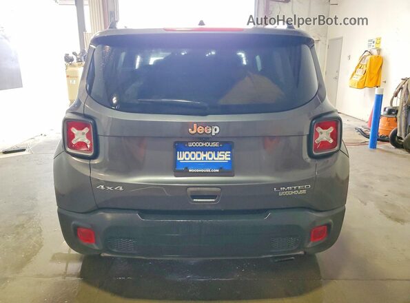 ZACNJBD11LPL97795 2020 JEEP RENEGADE Charcoal Вид ззаду
