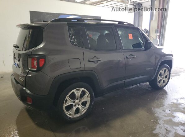 ZACNJBD11LPL97795 2020 JEEP RENEGADE Charcoal 