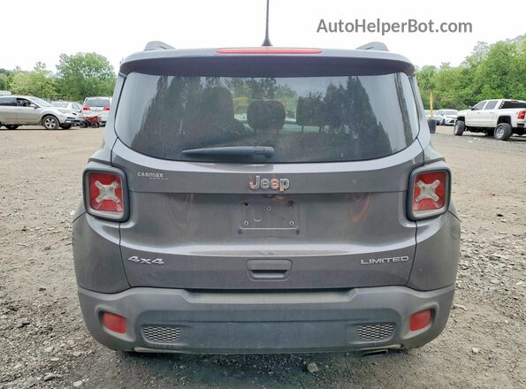 ZACNJBD16LPL98571 2020 JEEP RENEGADE Серый Вид сзади
