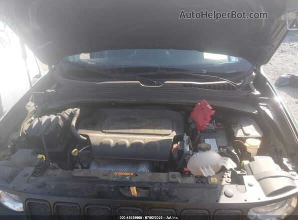 ZACNJDAB5MPM50749 2021 JEEP RENEGADE Green Widok z tyłu