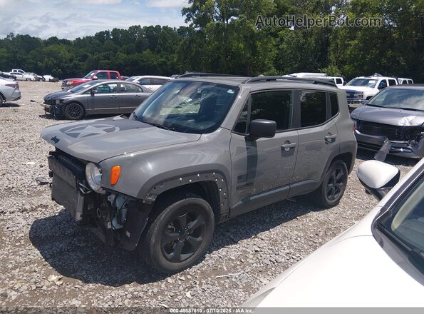 ZACNJDAB9MPN07860 2021 JEEP RENEGADE Gray 