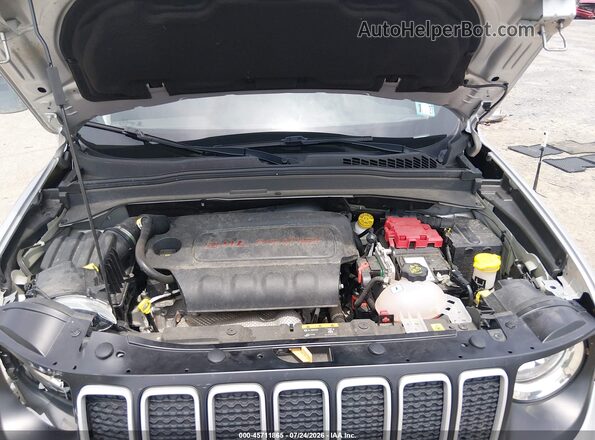 ZACNJDBBXMPM80960 2021 JEEP RENEGADE Silver უკანა ხედი