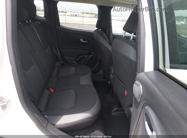 ZACNJDC19PPP19120 2023 JEEP RENEGADE Белый Вид наклейки с VIN-кодом