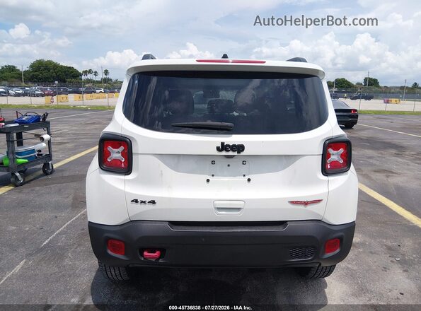 ZACNJDC19PPP19120 2023 JEEP RENEGADE Белый 