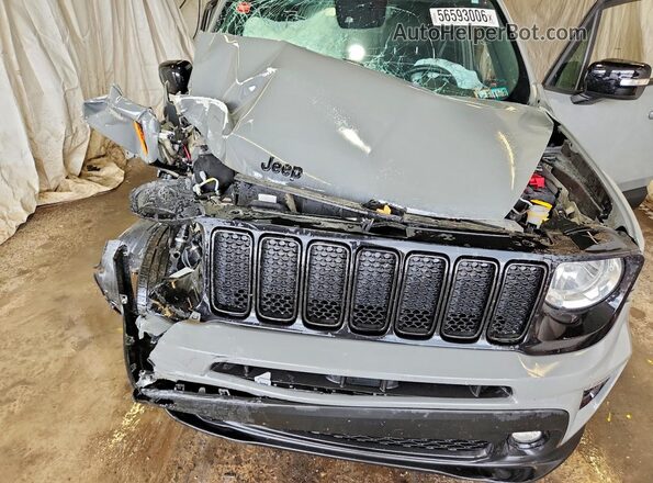 ZACNJDE14NPN58850 2022 JEEP RENEGADE Gray Engine compartment view
